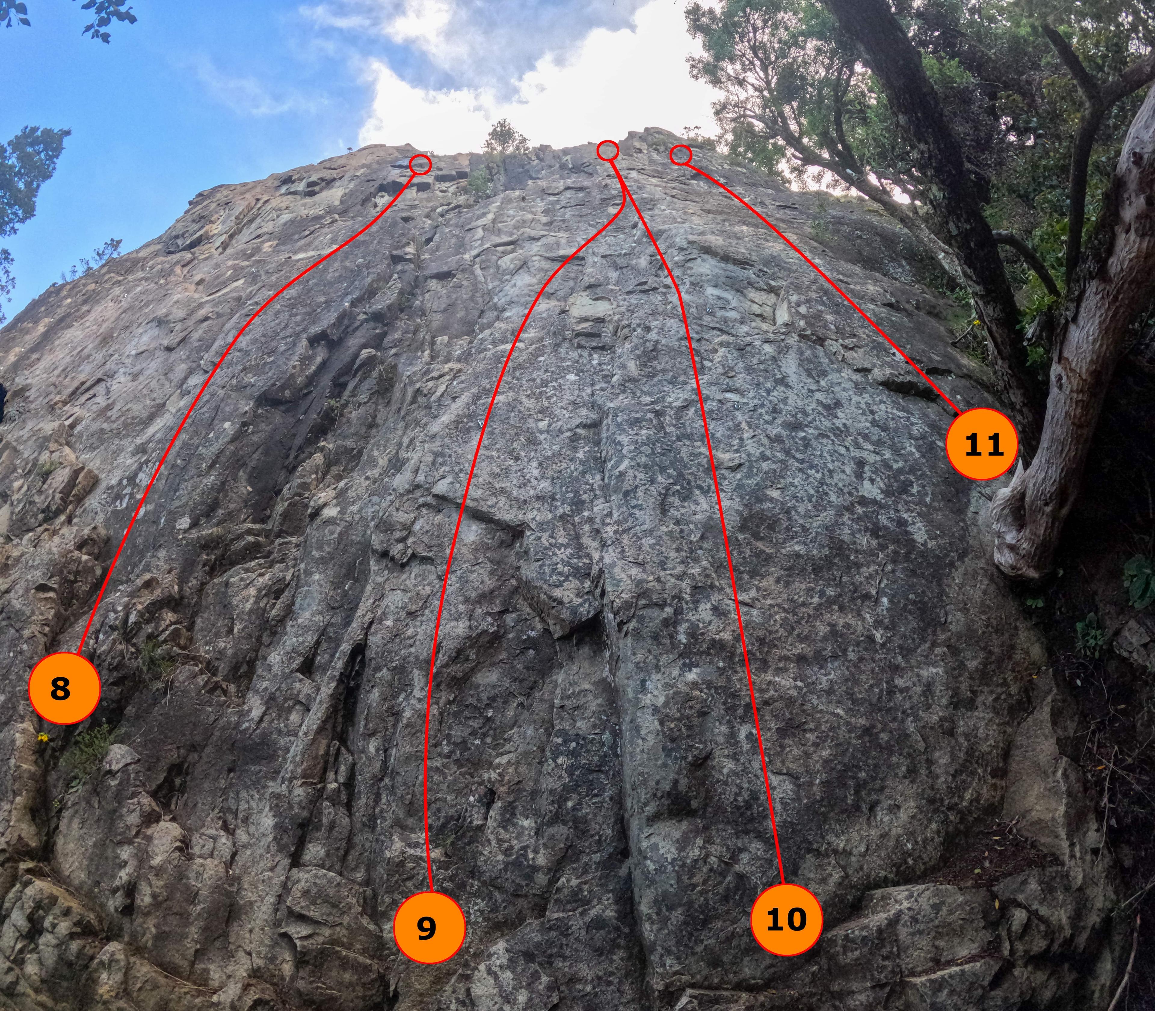 iride/iride-arriba-topo-3